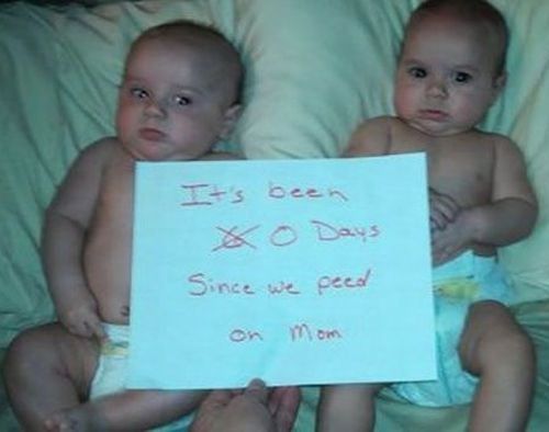 81068c6b3b286e2072b820a2e9795c21